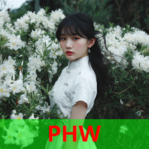 周二推荐